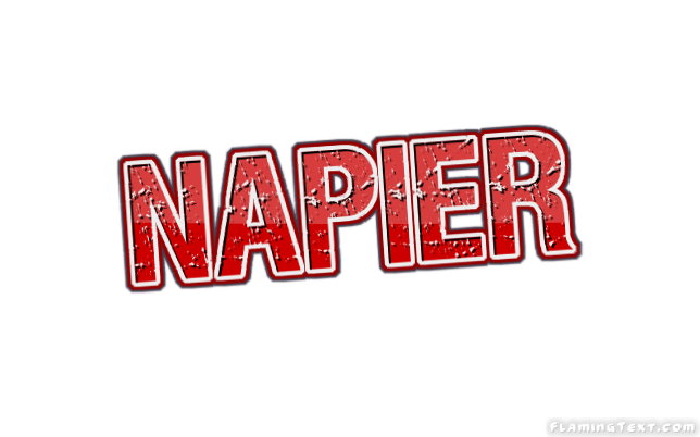 Napier مدينة