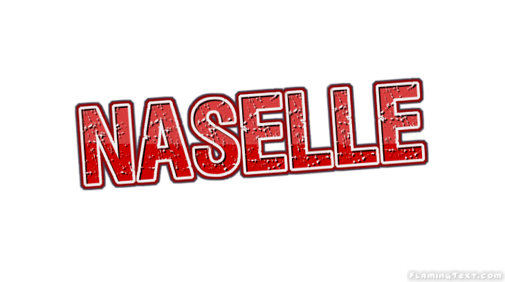 Naselle City