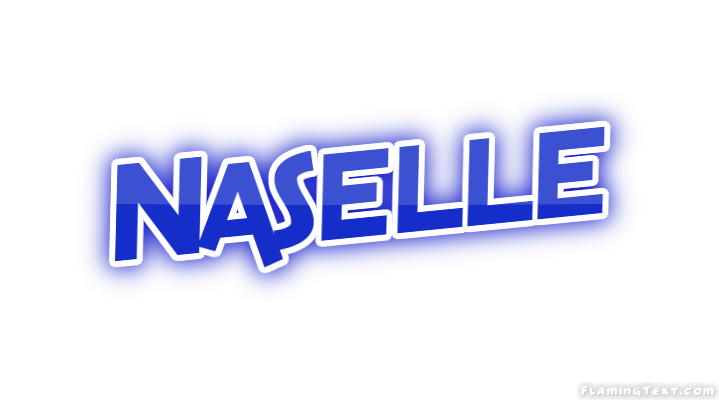 Naselle 市