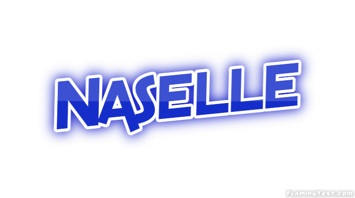 Naselle Stadt