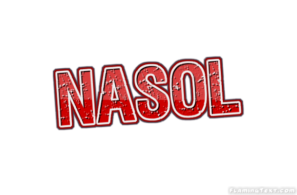 Nasol City