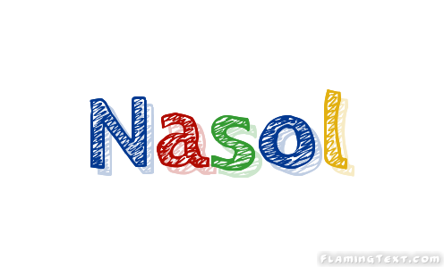 Nasol City