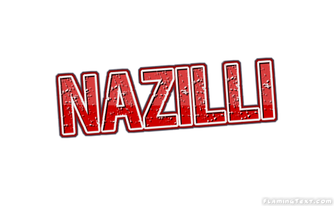 Nazilli City