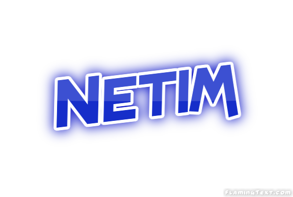 Netim город