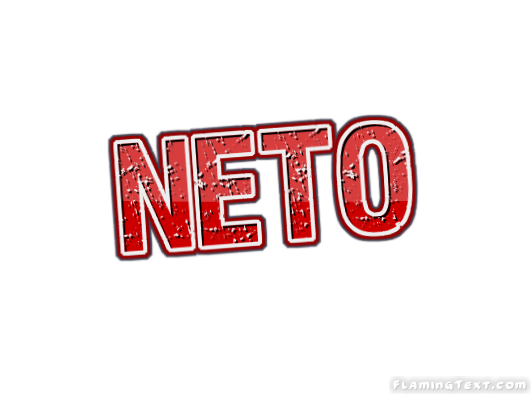 Neto город