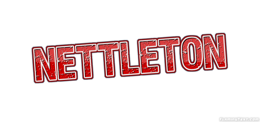 Nettleton город