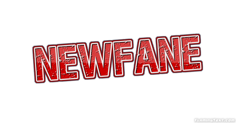 Newfane Stadt