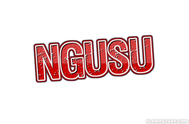 Ngusu City