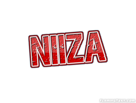 Niiza город