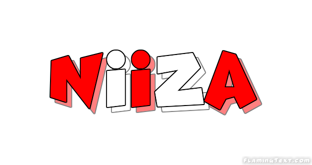 Niiza City