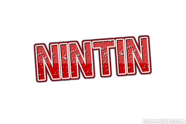 Nintin City