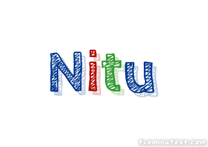 Nitu Ville