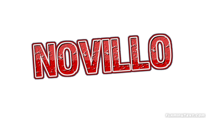 Novillo Ville