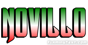 Novillo Ville