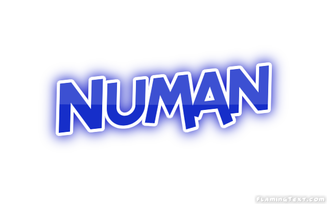 Numan City