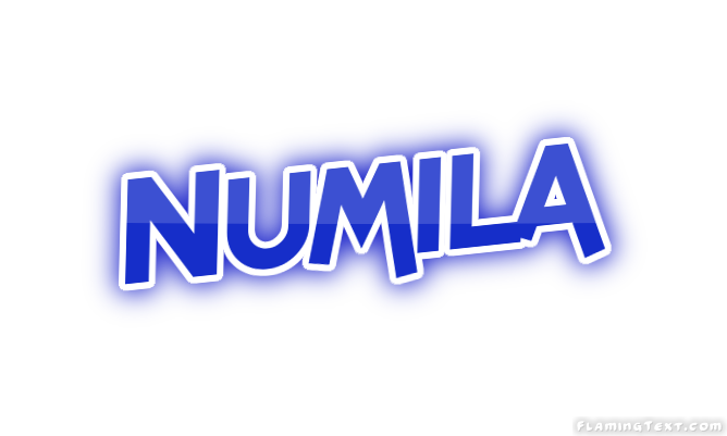 Numila City