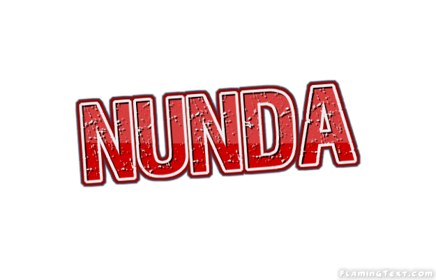 Nunda 市