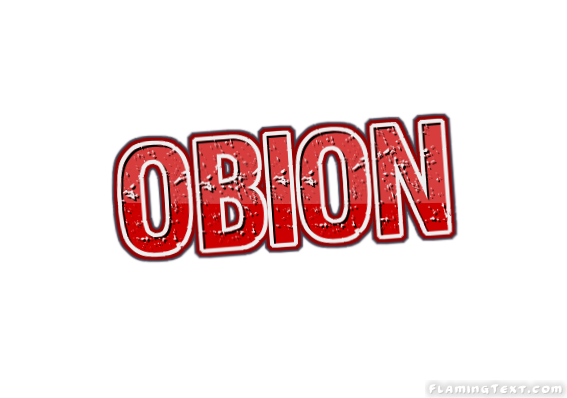 Obion город