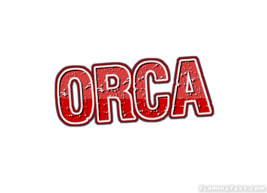 Orca City