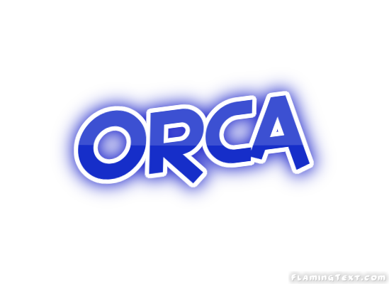 Orca 市
