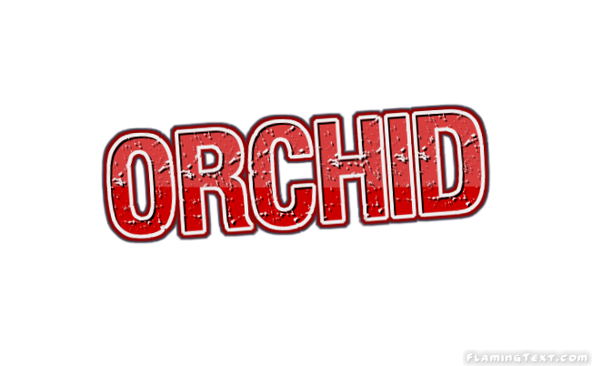 Orchid город