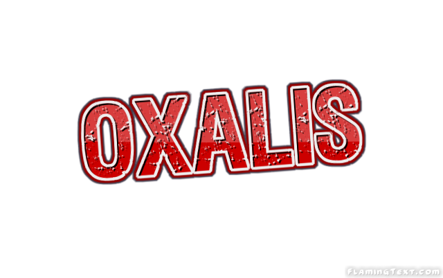 Oxalis 市