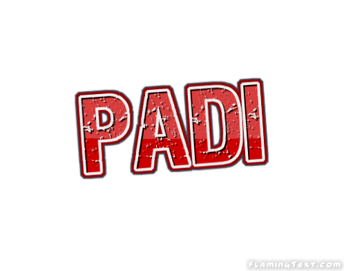 Padi Faridabad