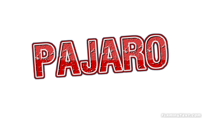 Pajaro City