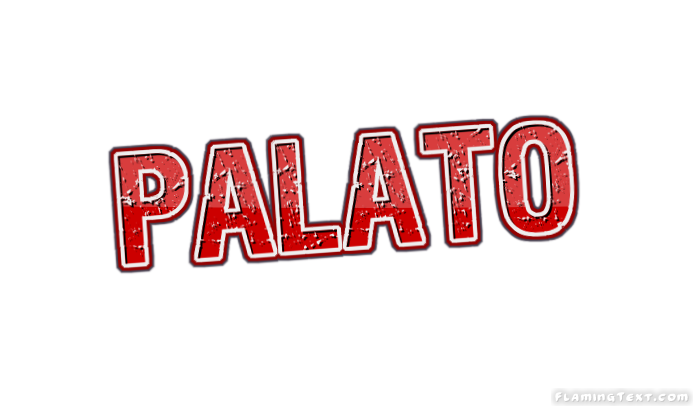 Palato City