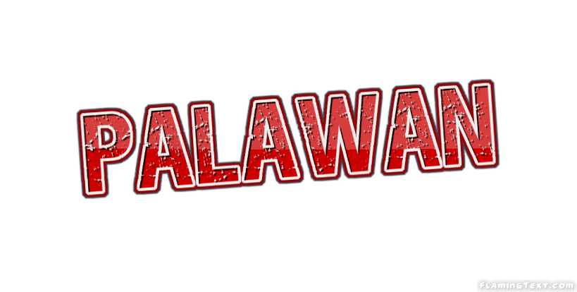 Palawan مدينة