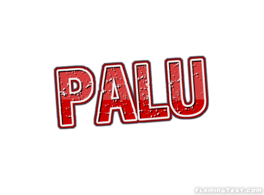 Palu City