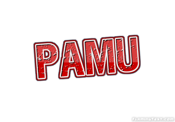 Pamu City