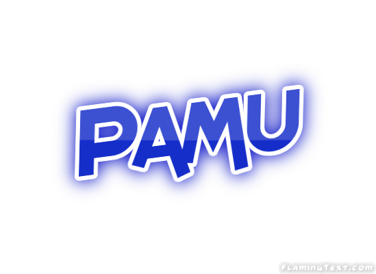 Pamu город