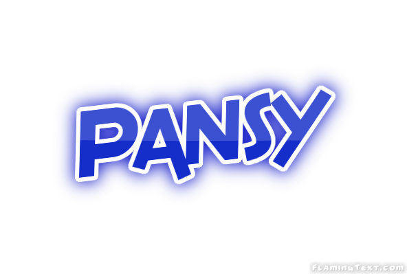 Pansy مدينة