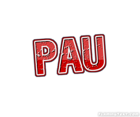 Pau 市