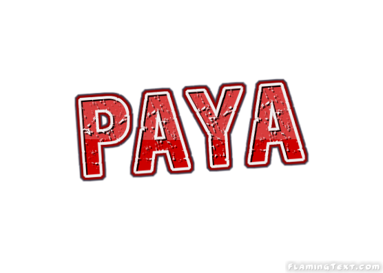 Paya Cidade