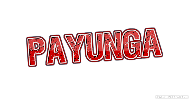 Payunga City