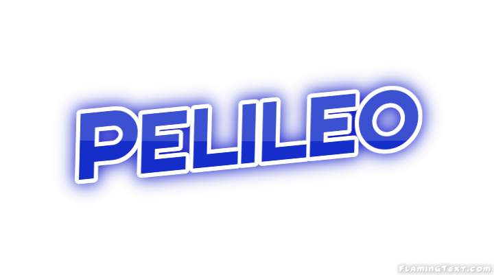 Pelileo City