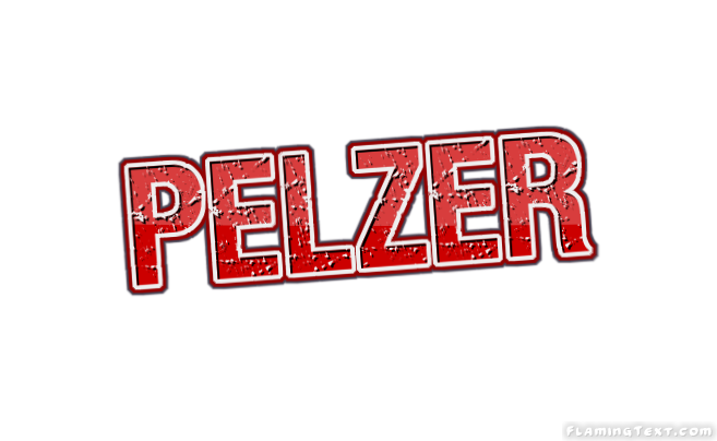 Pelzer город