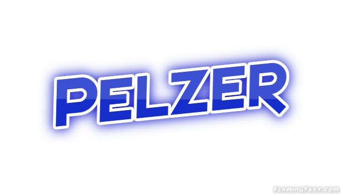 Pelzer City
