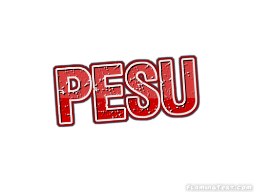 Pesu 市