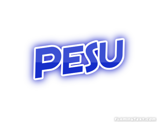 Pesu 市