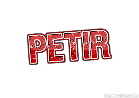 Petir City