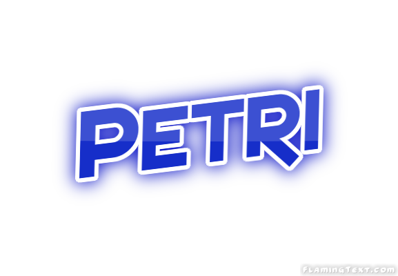 Petri город