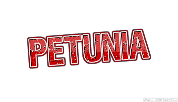 Petunia 市