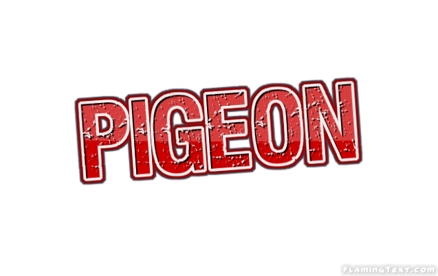 Pigeon город