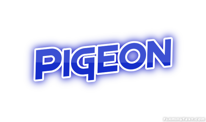 Pigeon Stadt