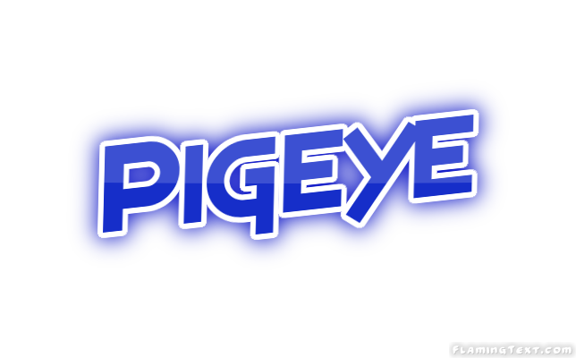 Pigeye 市