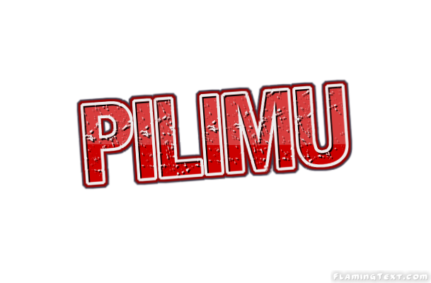 Pilimu City