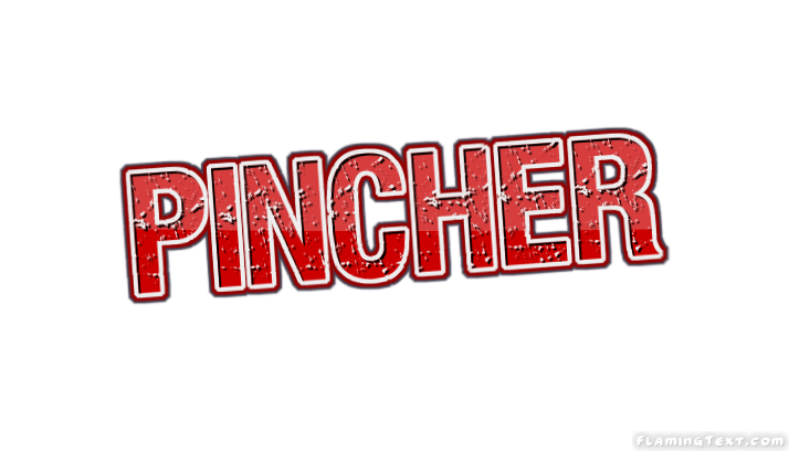 Pincher 市
